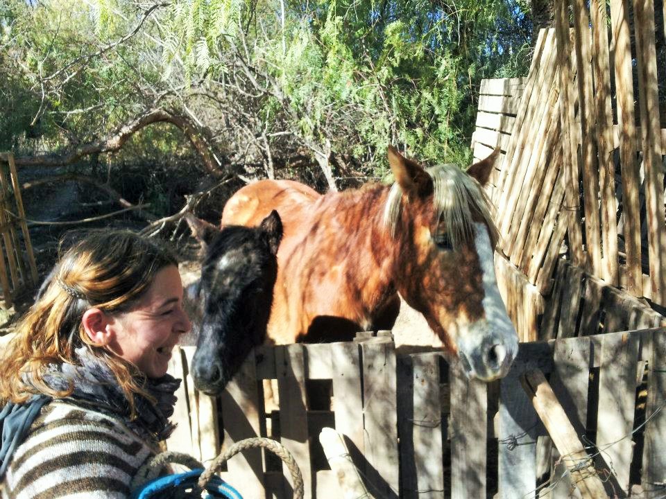 Mendoza Horseback Tour