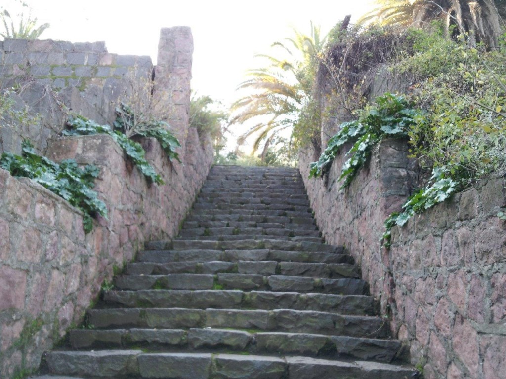 Parque Metropolitano