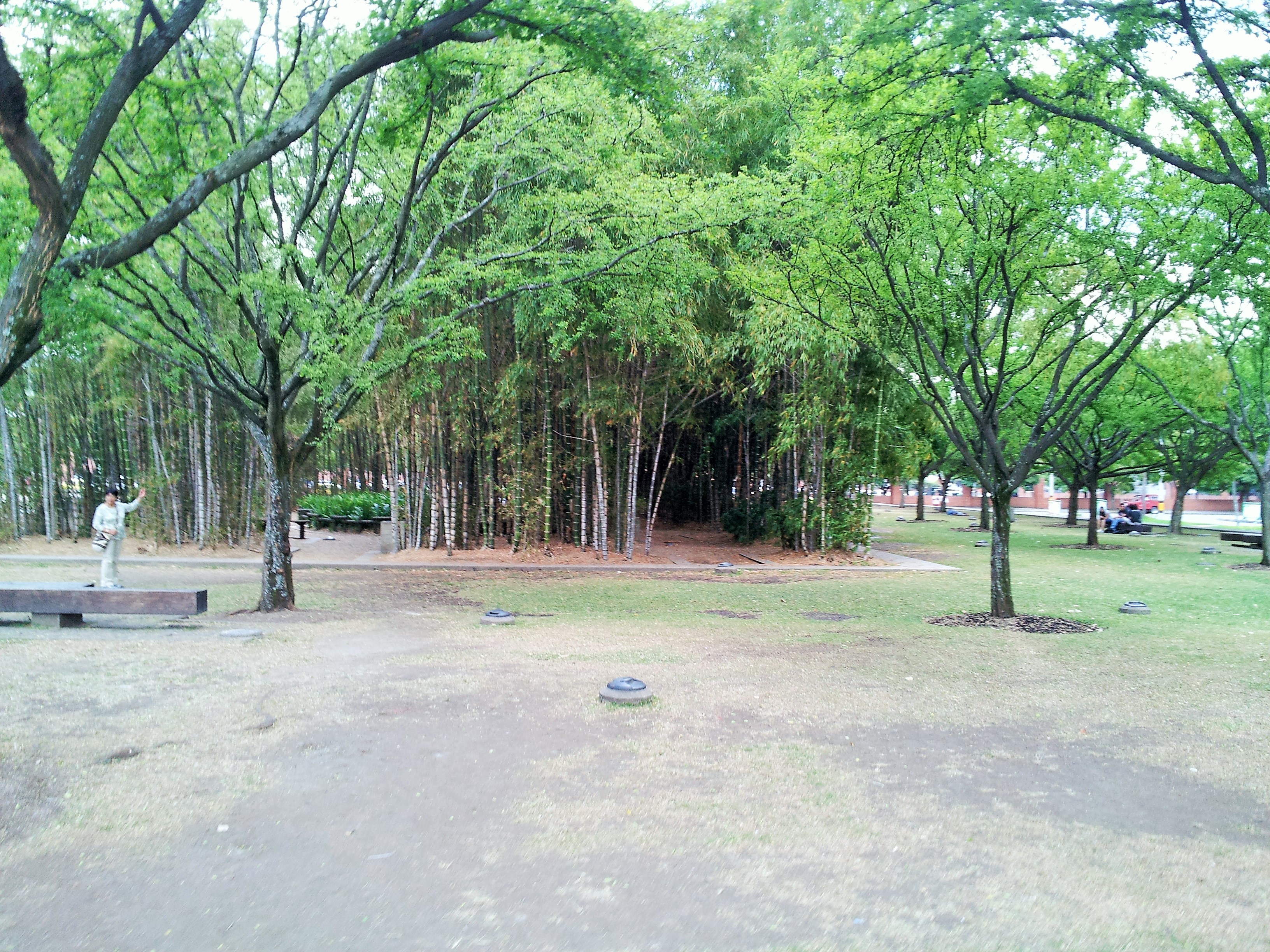 Barefoot Park